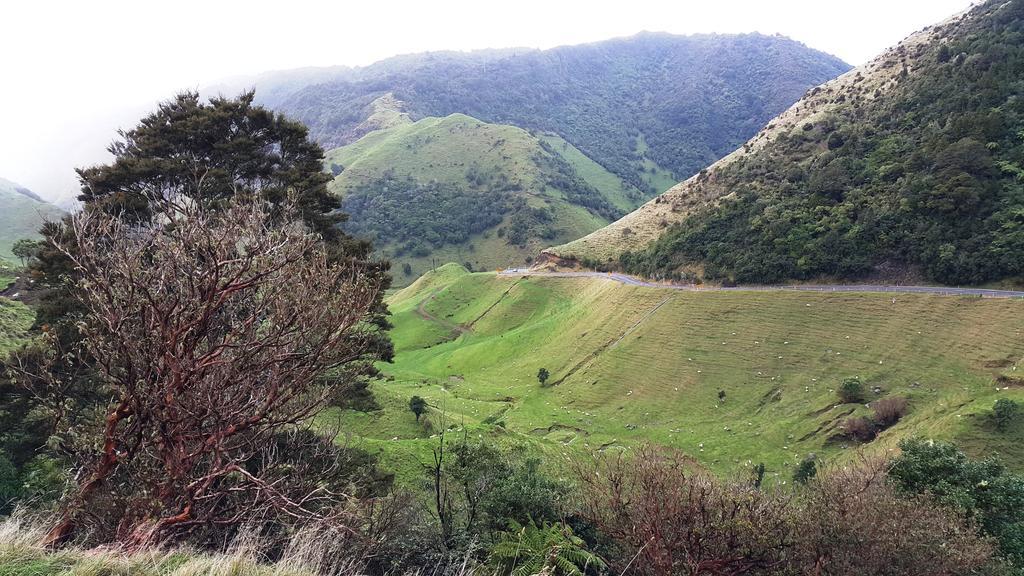 Bella Vista Gisborne Motel Dış mekan fotoğraf