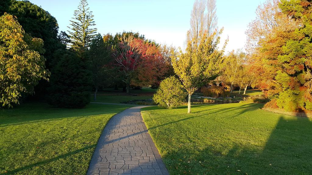 Bella Vista Gisborne Motel Dış mekan fotoğraf
